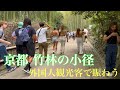 2023年6月18日 【日曜日の京都嵐山】 竹林の小径を歩く Walk the path of bamboo grove,Kyoto 【4K】