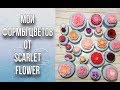 Обзор моих форм цветов от Scarlet Flower/Варианты заливок цветов/Мыловарение