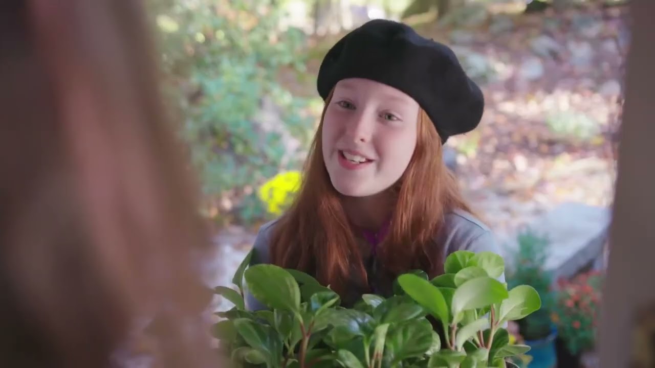 Golden Hearts Games Campaign