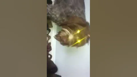 Crazy eyes