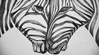 Beautiful Zebras in love/ step by step drawing / #170