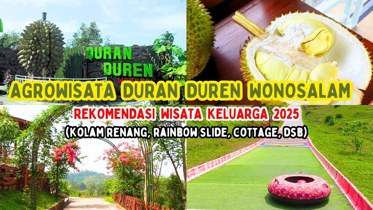 Agrowisata Duran Duren Rekomendasi Destinasi Liburan Keluarga, Wisata Durian di Wonosalam Jombang