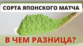 Виды и грейды чая матча, в чем отличия? какой выбрать?