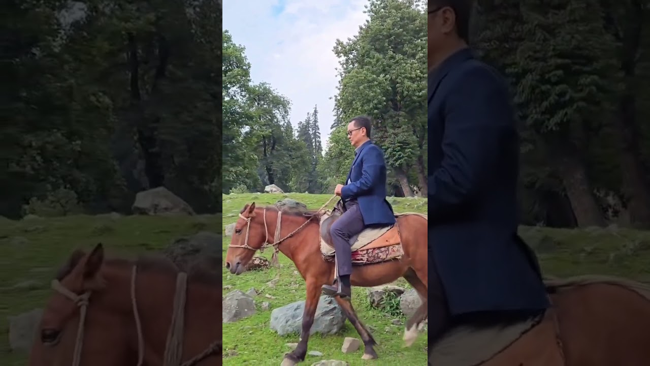 Horse Riding into the New Year | A Journey of Resolve & Reflection I 