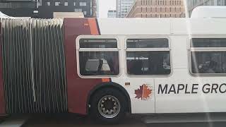 Maple Grove Transit 60086