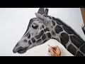 Drawing Giraffe 😍 Timelapse