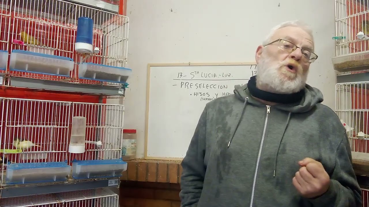 PRESELECCIÓN de HEMBRAS 