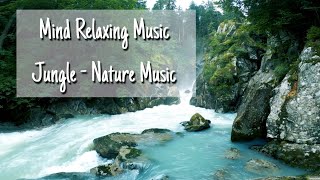 Relaxing Music-Relaxing Jungle Sound With Birds, Nature -Meditation & Stress Relief - No Copyrights