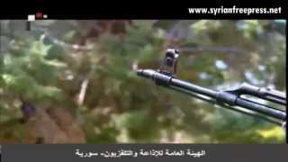 Syria News 7/6/2015 ~