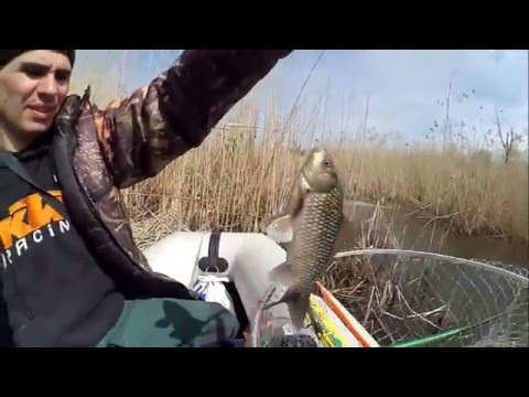 კარასზე თევზაობა|karasze tevzaoba