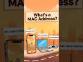 What is MAC Address?