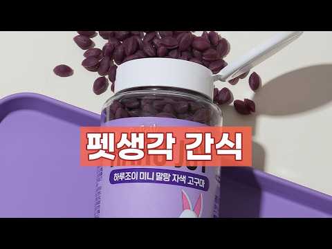 반려견 건강을 위한 최고의 선택! 펫생각 저칼로리 간식 3종 비교 분석