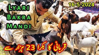 Lyari Bakra mandi Karachi | Bakra mandi lyari update | Cheapest Bakra mandi 2024
