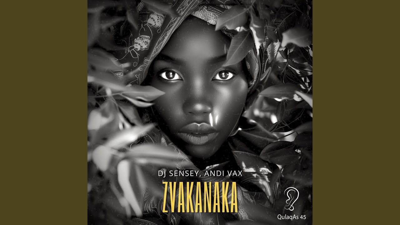 Mira Zvakanaka (Radio Mix) en YouTube