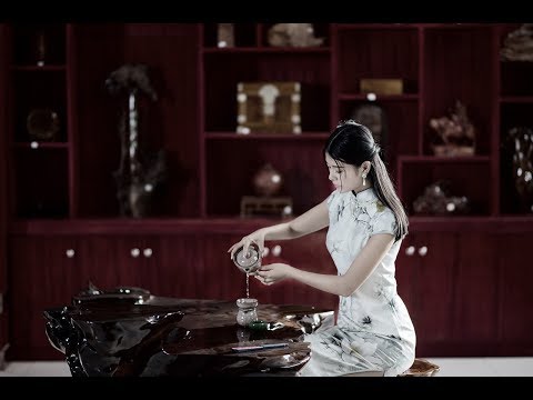 传统中国音乐 Traditional Chinese Music Instrumental 偏偏喜歡你二胡 黃江琴 