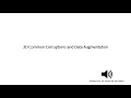 Overview of 3D Common Corruptions and Data Augmentation Techniques (CVPR 2022)