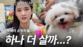 🐶머털 공주님의 쇼핑 하울~👛✨연말 멍템은 이걸로 정했다😍 2023 메가 주 펫페어 브이로그