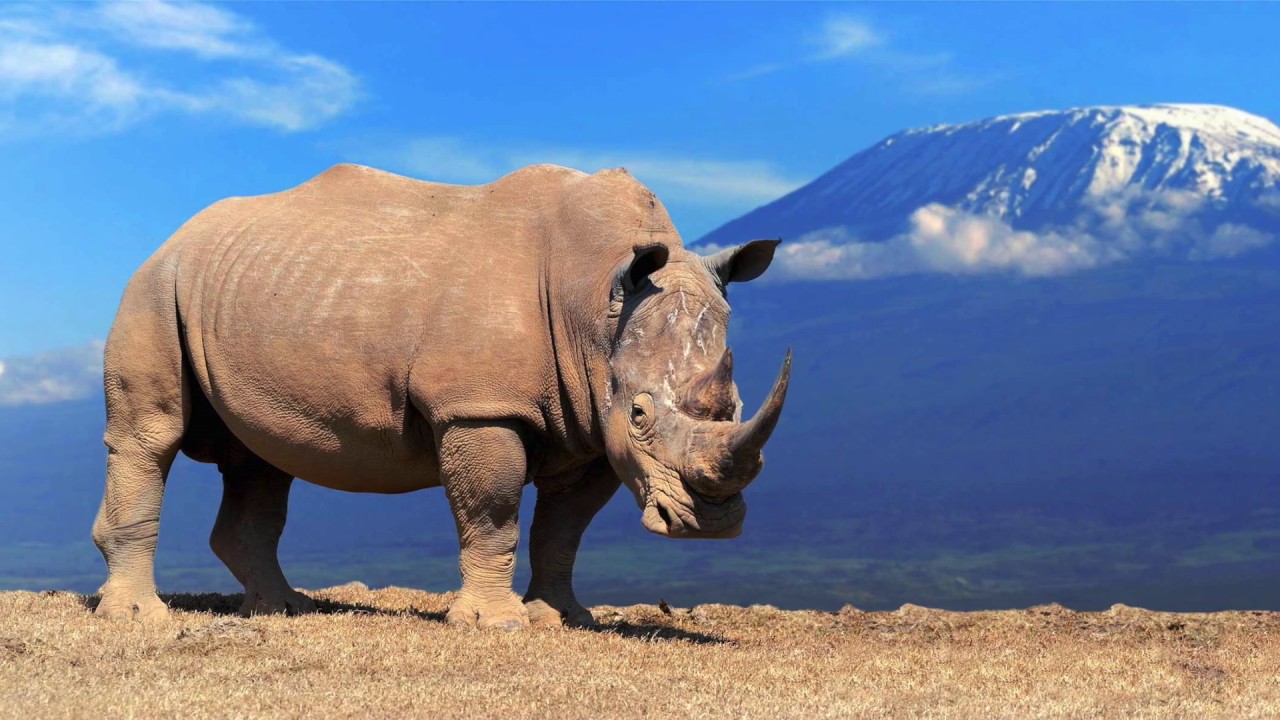 R Initial Word Articulation Speech Therapy