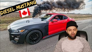 Finally...Cummins Mustang Body is Finished Reaction | MR Halal Reacts