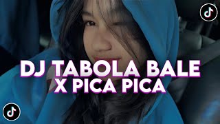 DJ TABOLA BALE X PICA PICA 2 SLOW VIRAL TIKTOK FULL SONG MAMAN FVNDY 2025