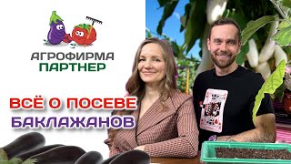 Всё о посеве баклажанов | #огород #рассада #семена