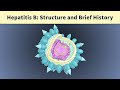 Hepatitis B Microbiology p.1 Structure: Dane particle, filaments and spherical particles