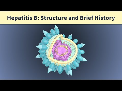 Hepatitis B Microbiology p.1 Structure: Dane particle, filaments and spherical particles