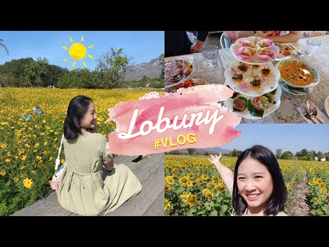 Lobury Vlog #ลพบุรี กระเพรา&coffeec cafe ✨ทุ่งดอกทานตะวัน🌻 ร้านอาหารไทย 🤤| GraceisGrace
