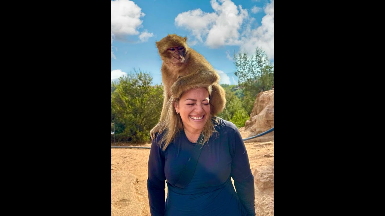 Morocco 2025: Surrounded by Baby Monkeys + Arriving in Marrakech + Street Food Tour