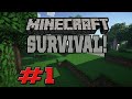 Minecraft Survival! - Construíndo o primeiro abrigo episódio #1