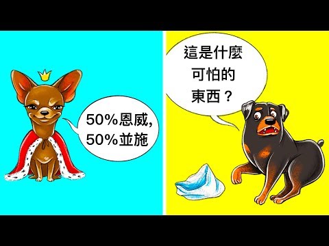 如果狗狗會說話，他會跟你說什麼