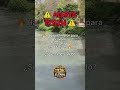 ALERTA en ARANJUEZ ⚠️