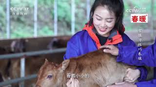 《田园帮帮团》 20250223 春日帮扶行·掌握习性巧养殖 | 农业致富经 Agriculture And Farming