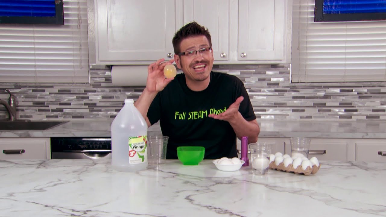 DIY Vinegar Bouncy Egg!