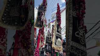 Bhopal Azadari ( A G M ) | 10 Muharram Juloos Bhopal | #matam #shia #karbala #noha