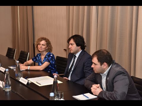ირაკლი კობახიძის შეხვედრა ევროპარლამენტის მომხსენებელთან, ანდრეს მამიკინსთან