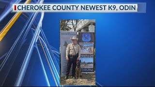 Cherokee County's newest deputy comes with a bark; meet K9 Odin