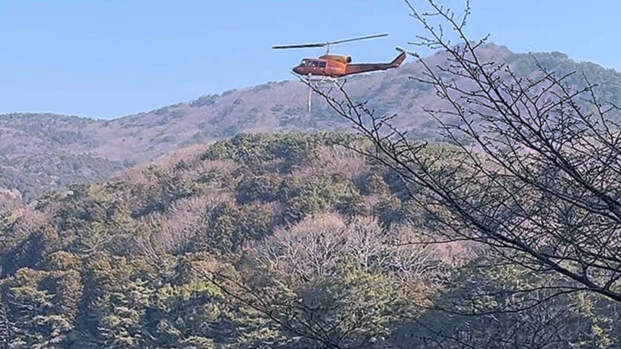 전체영상 260211 백양산숲길걷기 /수백회 제198차