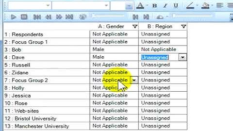 NVivo Attributes [variables] creation