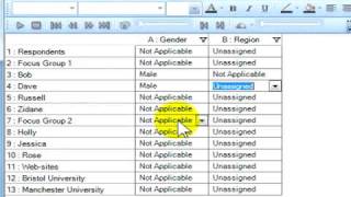NVivo Attributes [variables] creation
