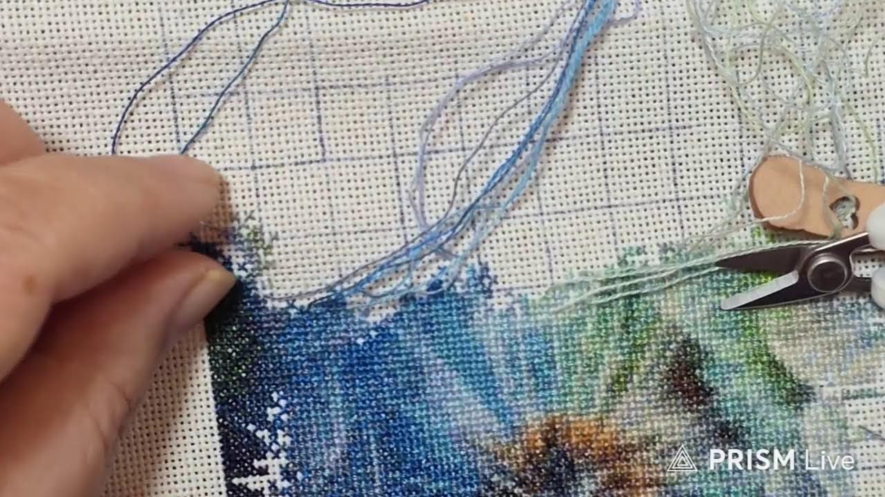 IGA stitch ライブ配信