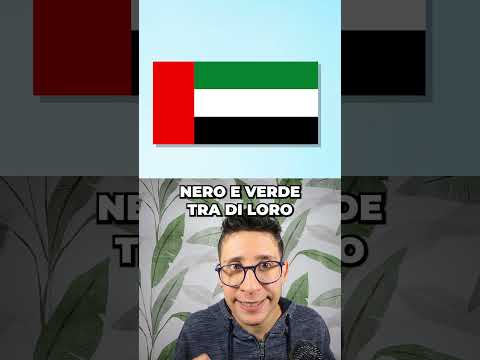 Video BANDIERE SIMILI A QUELLA DELLA PALESTINA #geografia #palestina #bandiera #bandieredelmondo
