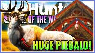 I Found A HUGE Piebald Elk for the Layton Lodge!! | theHunter Call of the Wild