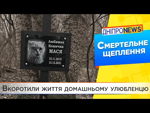 У Дніпровській ветеринарній зробили смертельне щеплення