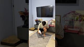 Kokudan Bayıldı Hasan Sönmez Yeni Video