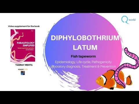 Diphylobothrium latum (Fish Tapeworm): Parasitology simplified: Dr. Tanmay Mehta