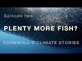 Cornwall&#39;s Climate Stories: Plenty More Fish?