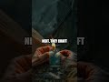 Wind Coast Real World Survival Essentials with Outdoor Experts