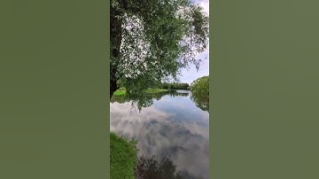 تلاوة خاشعة🌹قرآن بصوت جميل🌷(نَبِّئْ عِبَادِي أَنِّي أَنَا الْغَفُورُ الرَّحِيمُ)🥀حالات واتساب دينيه🥀