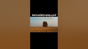 سعود شريم سورة الفرقان #سعود_الشريم #قرآن #قرآن_كريم #سورة_الفرقان #الفرقان #تلاوة #ترتيل #قران